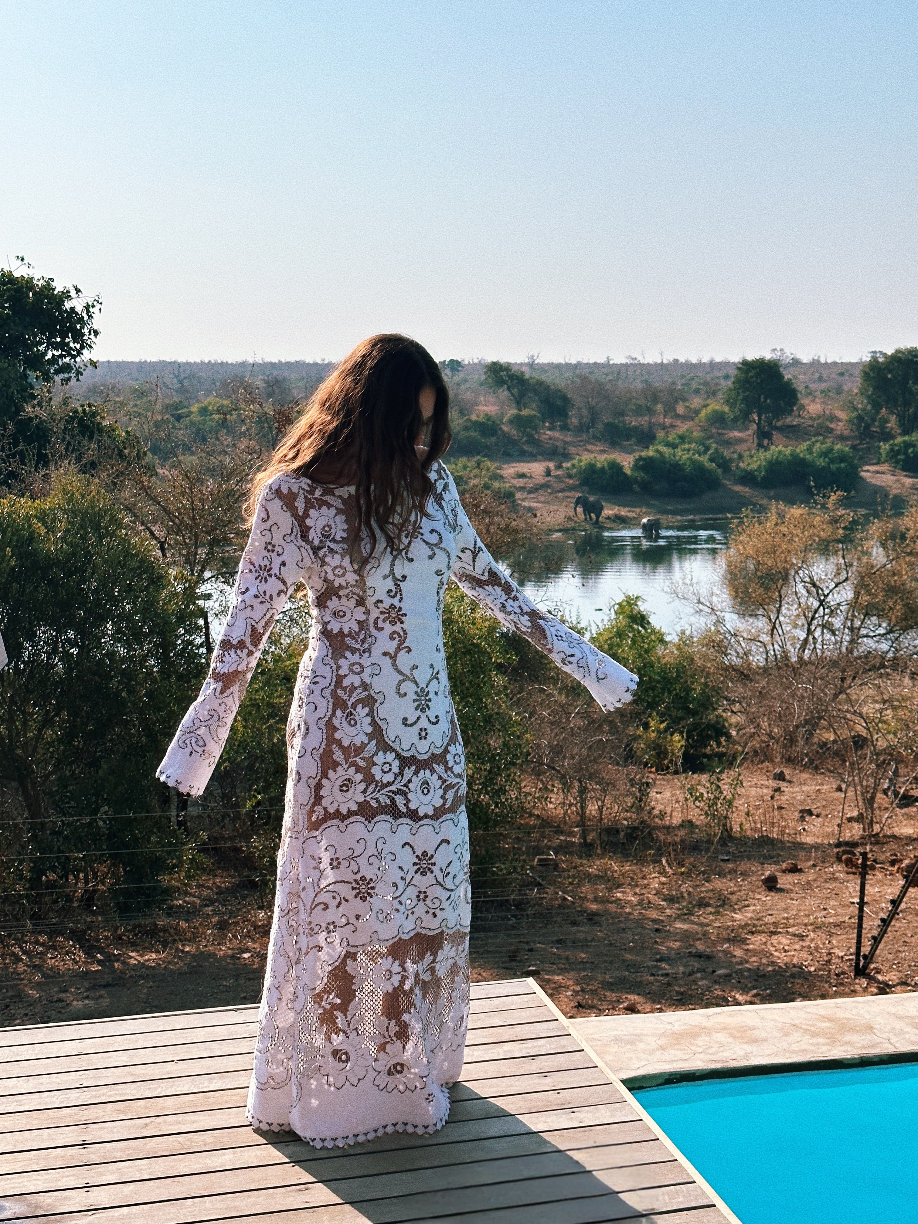 Wild Lace Dress