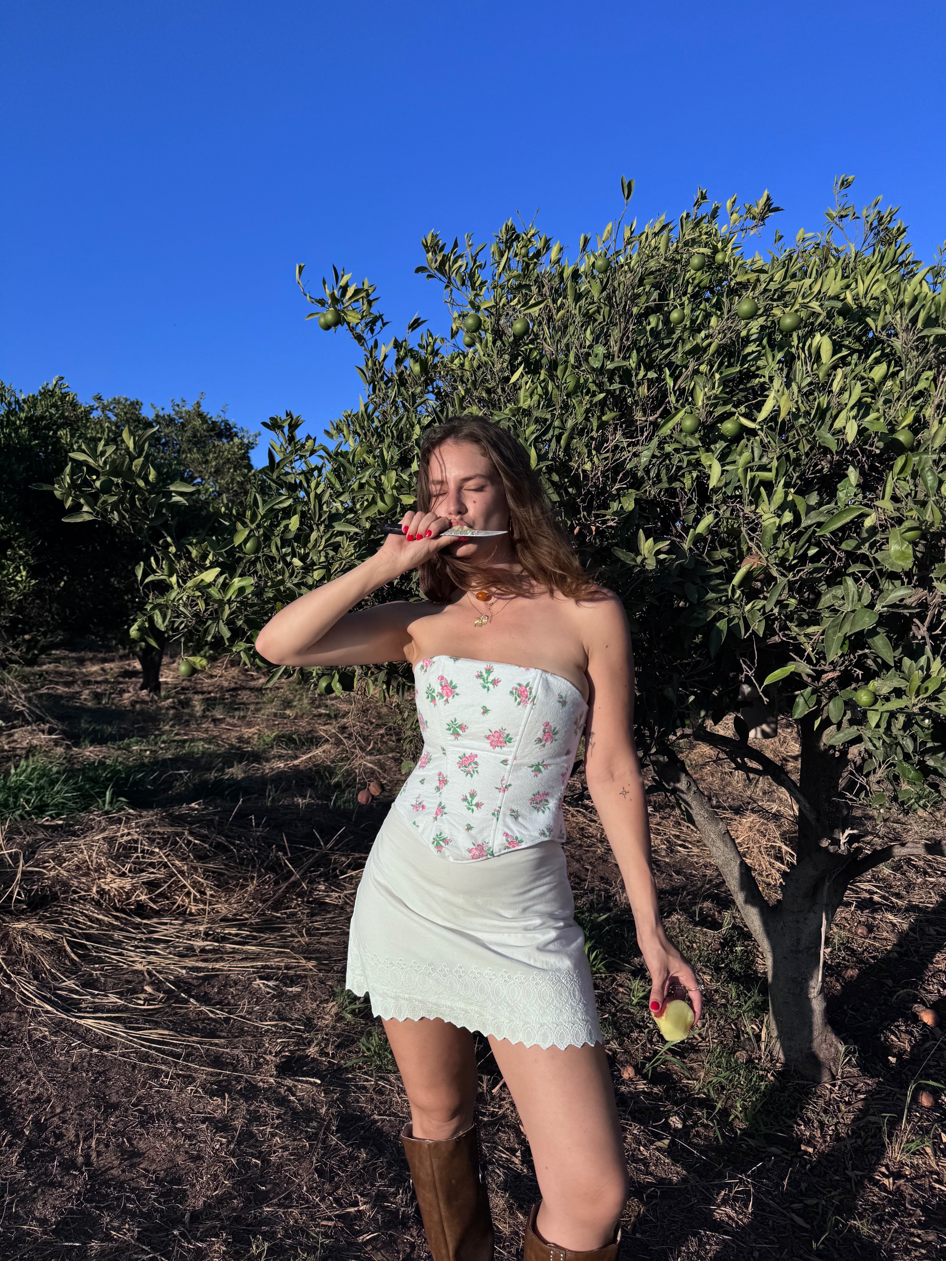 Rose Garden Corset