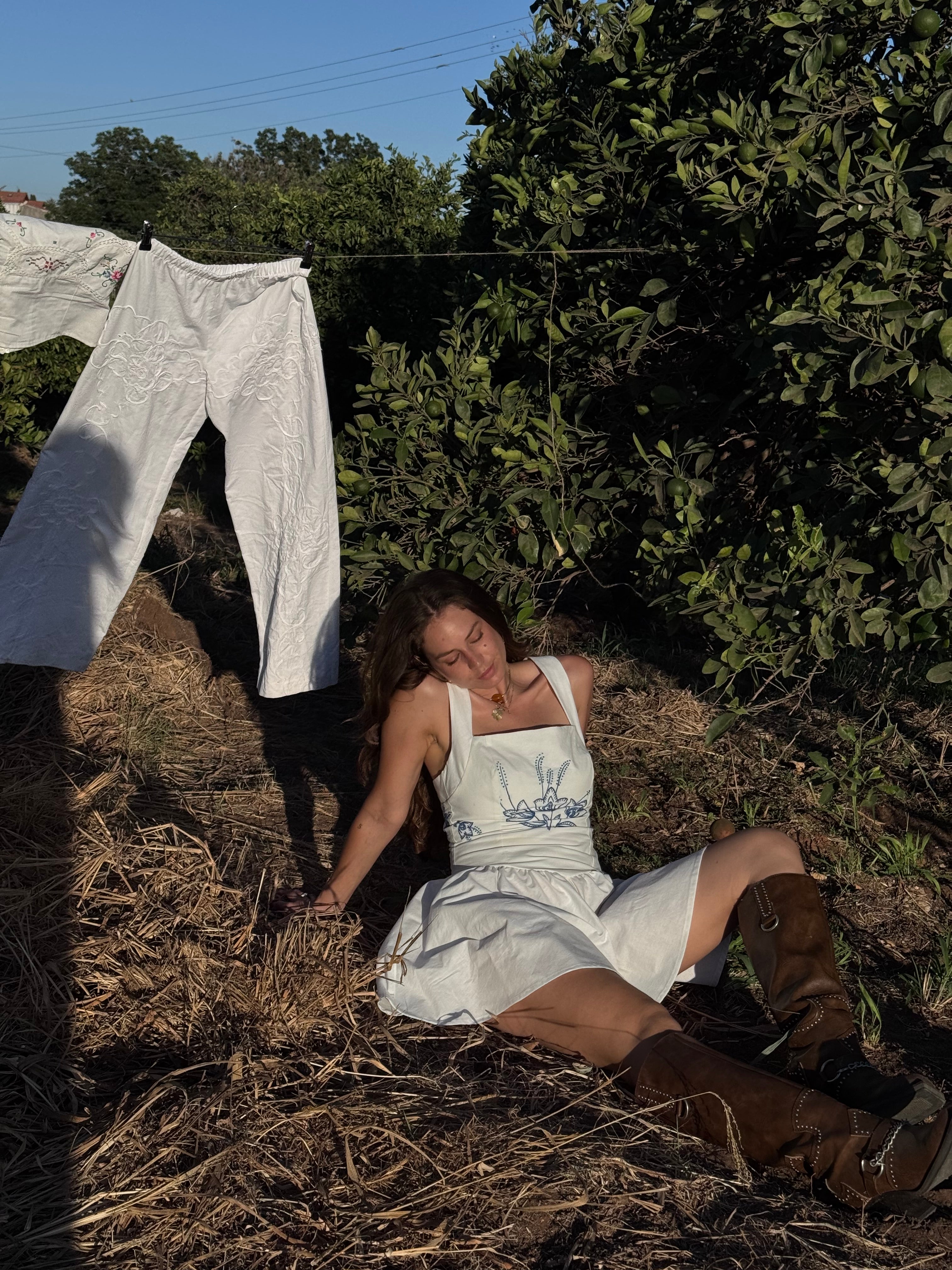 Countryside Blue dress